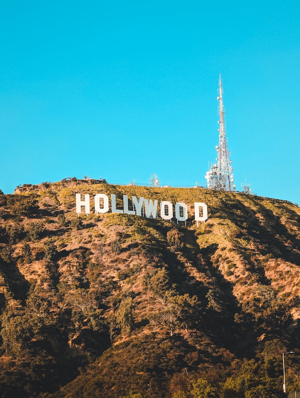 The Film Industry in Its Greatest Crisis Yet?